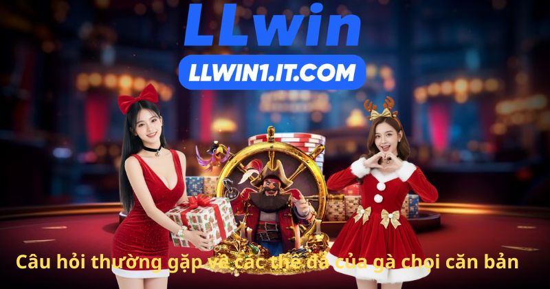 Câu hỏi thường gặp về các thế đá của gà chọi căn bản
