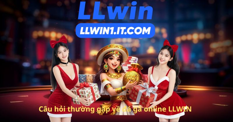 Câu hỏi thường gặp về đá gà online LLWIN