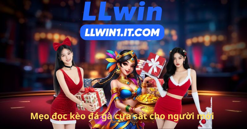 Mẹo đọc kèo đá gà cựa sắt cho người mới