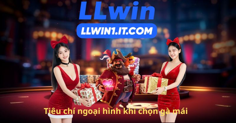 Tiêu chí ngoại hình khi chọn gà mái